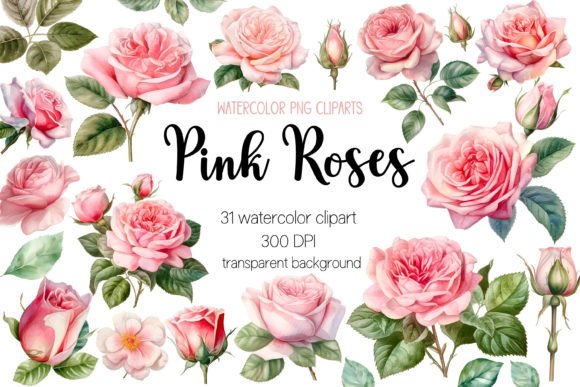 Download Pink Roses Watercolor Clipart Bundle - Rose Collection